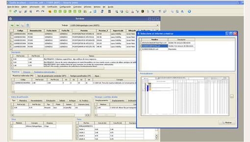 Captura de pantalla de software utilizado por inge